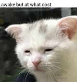 1719936983137471
