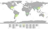 Koppen_World_Map_Cwa_Cfa