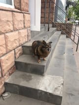 IMG_20250521_175115_230