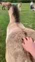 1670195605219_thumb.jpg