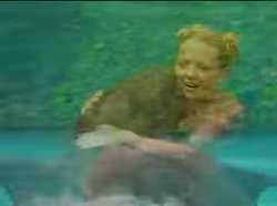 dolphin_thumb.jpg