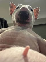 1723825589413064