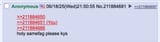 Screenshot 2025-06-18 at 21-52-09 _int_ - What is your cunt&#039;s opinion on Israel Our entire - International - 4chan