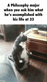 1733543583754669