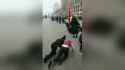 132123 (394)_thumb.jpg
