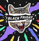 black friday cat