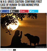 monkeypox dog