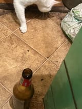 1727957926549065