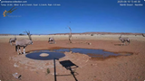 Screenshot 2025-06-19 at 13-46-36 Namibia Live stream in the Namib Desert - YouTube