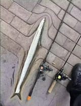 1723531066476753