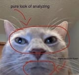 pure look o f analyzing and sardonic frown