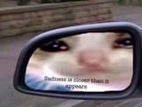 sad cat