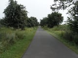 RIMG0048