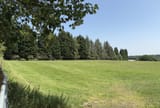 IMG_1383