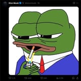 elon-musk-frog