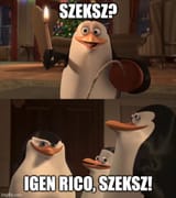 9xw4xs