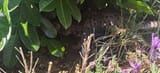 IMG_20250619_141348