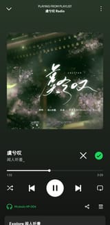 Screenshot_20250619_220731_Spotify