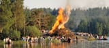 bonfire