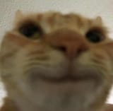 1645173378671