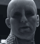 1743235656695181
