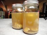 waterkefir