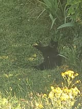1750349180-img-20250618-180309