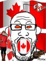 Reddit the country
