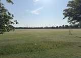 IMG_1384