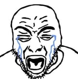 this-image-has-infinite-soyjak-potential-someone-please-v0-25w04jj3jkzc1