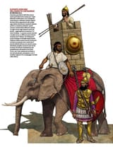 Carthaginian-Elephants-of-War