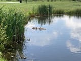 IMG_6963