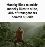 monkeystride