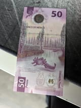 1737040013816122