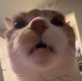 1722766646756802
