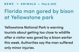 Florida man again