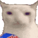 1700601069348249