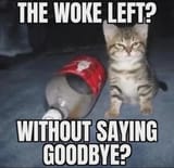 wokeleft