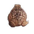 1731348471274455