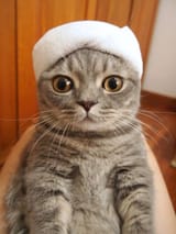 4f848ce895905bce058ce299f61fd26e-imagejpeg