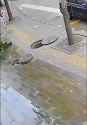 132123 (200)_thumb.jpg