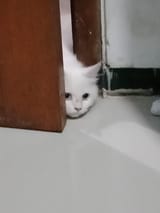 1606817644438
