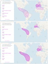 myheritagelatinamerica