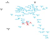 geneticmakeup