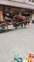 132123 (263)_thumb.jpg