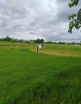 IMG_20250620_104757919_AE (1)