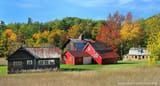 the-bufka-farm
