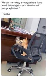 1737778439533028