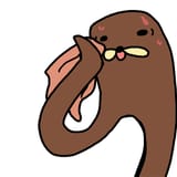 sweaty gondola