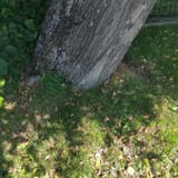 1739548933643573
